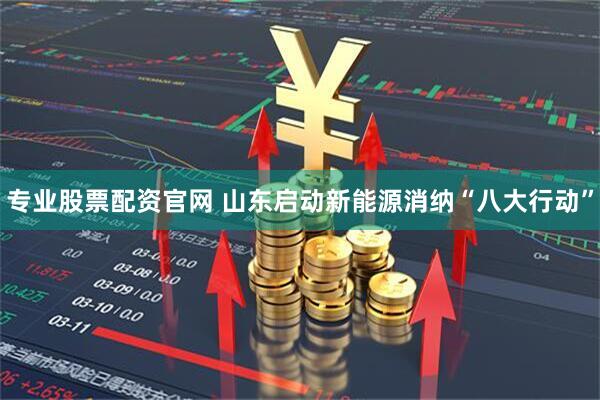 专业股票配资官网 山东启动新能源消纳“八大行动”
